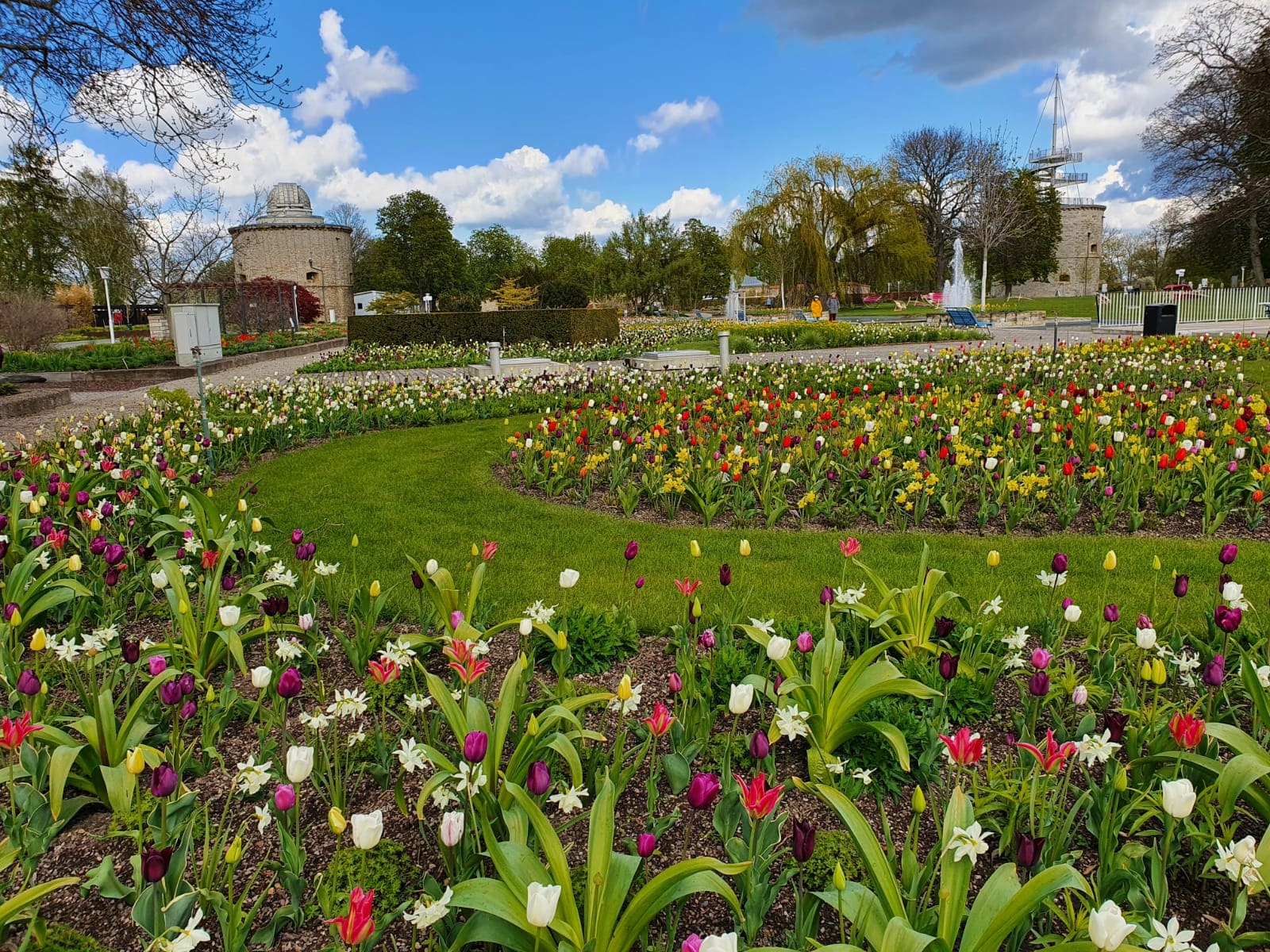 Blumenwiese