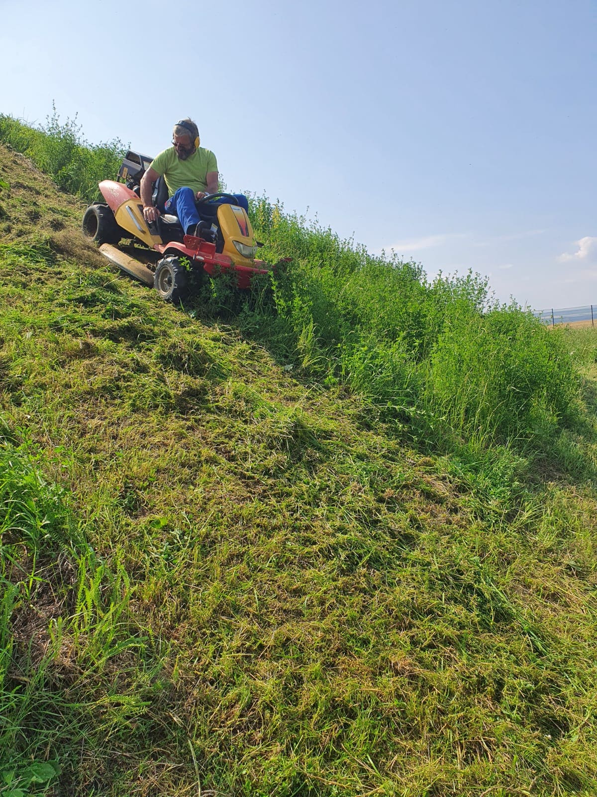 Gartenbau Erfurt, Galabau Erfurt, Garten- und Landschaftsbau, Außenanlage, Grünpflege, Gartenpflege Landschaftspflege,  Wegebau, Blumenbeet, Grünanlage, Wiese, Rasen